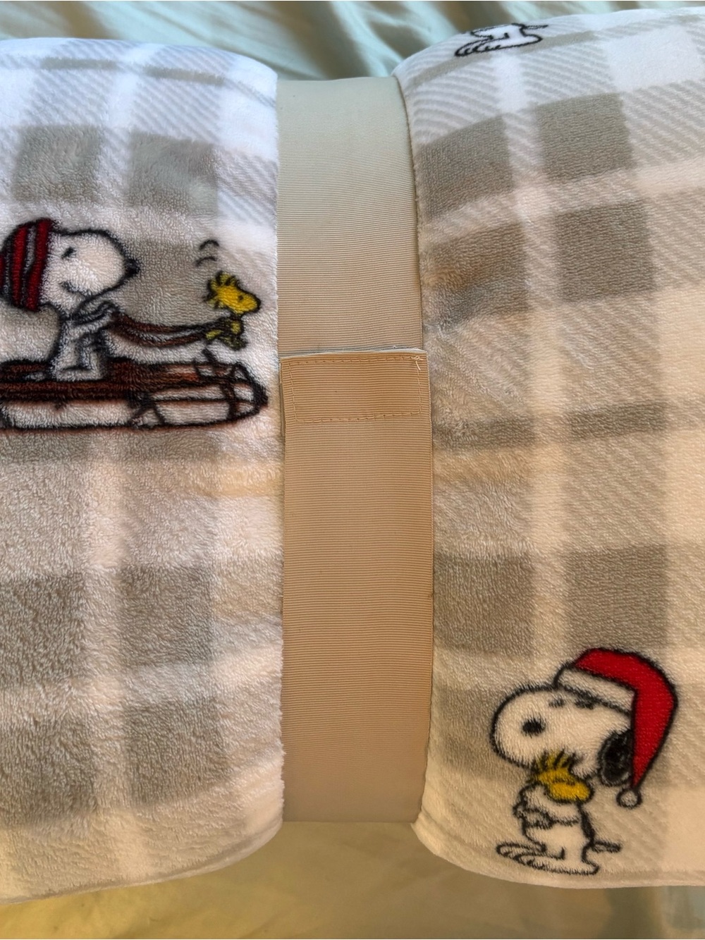 Berkshire Peanuts Sledding Velvet Loft Blanket